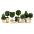 BOXWOOD TOPIARIES IN POTS, SET OF 8 BY NAPA HOME & GARDEN - A. Dodson's