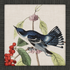 Avian - 9 Asst - A. Dodson's