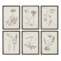 BULB STUDY SHADOW BOX PRINTS, SET OF 6