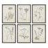 WILDFLOWER STUDY, SET OF 6 BY NAPA HOME & GARDEN - A. Dodson's