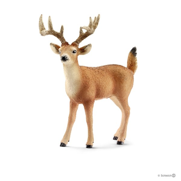 WHITE-TAILED BUCK BY SCHLEICH