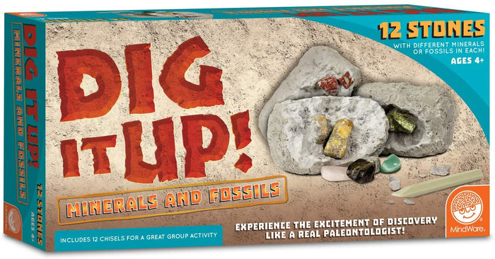 DIG IT UP! MINERALS AND FOSSILS