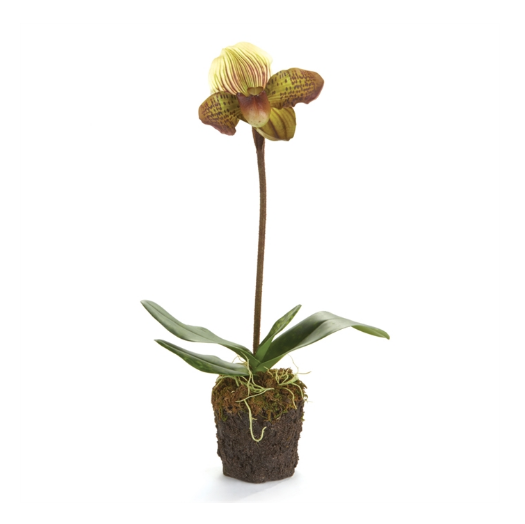 20" LADY SLIPPERS DROP-IN PLANT BY NAPA HOME & GARDEN