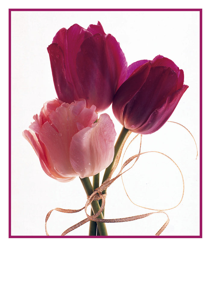 TULIPS WITH RIBBON CARD