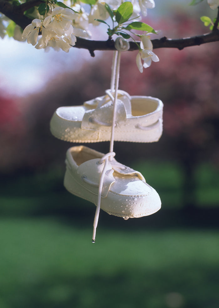 BABY SHOES HANGING FROM TREE CARD