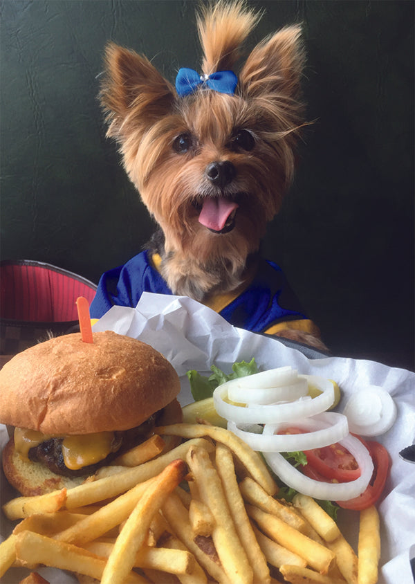 DOG WITH BURGER AND FRIES CARD