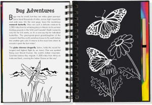 SCRATCH & SKETCH BUGS TRACE-ALONG - A. Dodson's