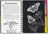 SCRATCH & SKETCH BUGS TRACE-ALONG - A. Dodson's