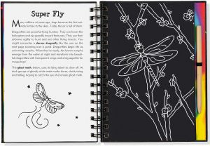 SCRATCH & SKETCH BUGS TRACE-ALONG - A. Dodson's