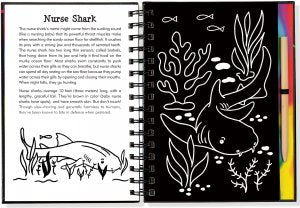 SCRATCH & SKETCH SHARKS TRACE ALONG - A. Dodson's