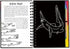 SCRATCH & SKETCH SHARKS TRACE ALONG - A. Dodson's