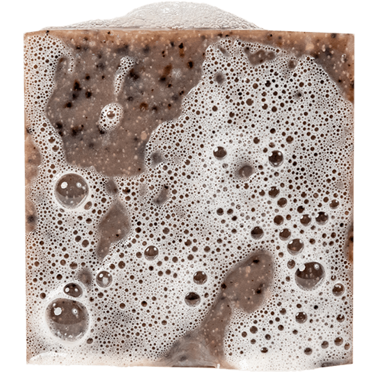 DR. SQUATCH BAR SOAP - COLD BREW CLEANSE - A. Dodson's