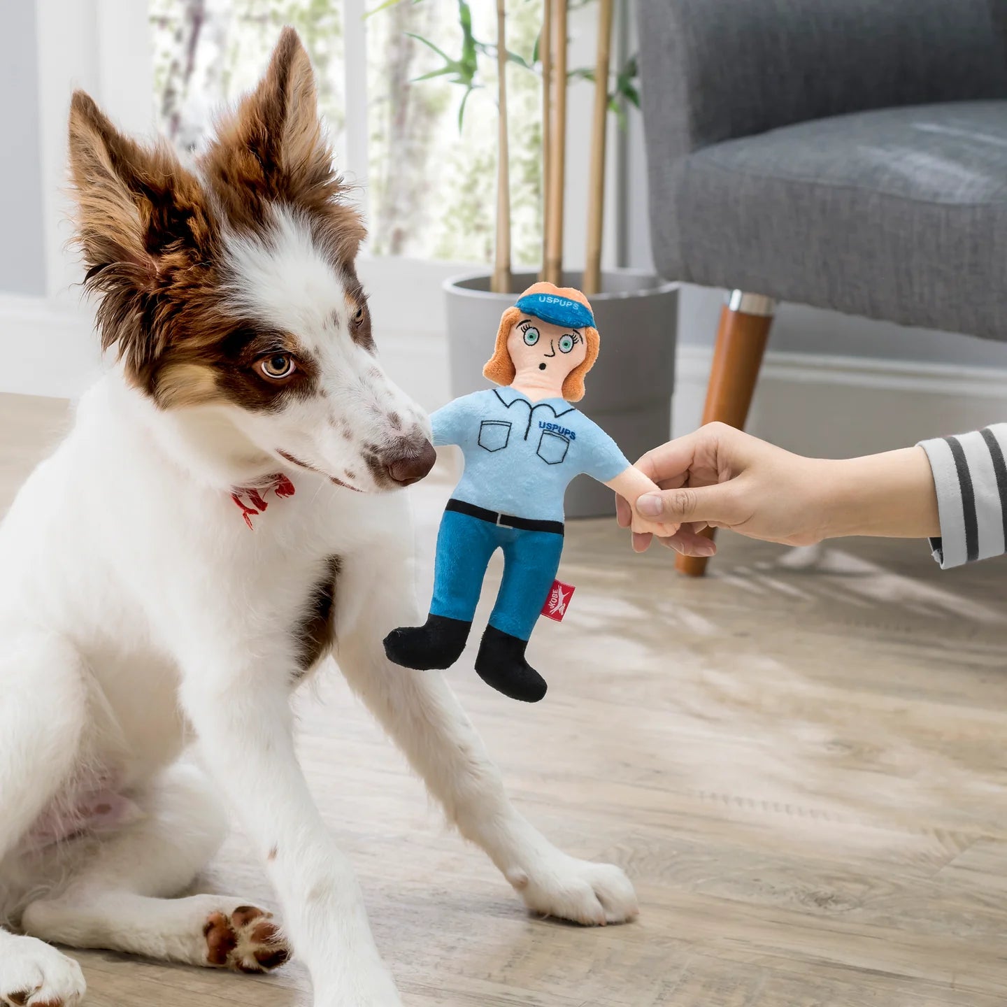 USPups Squeeky Plush Toy - A. Dodson's