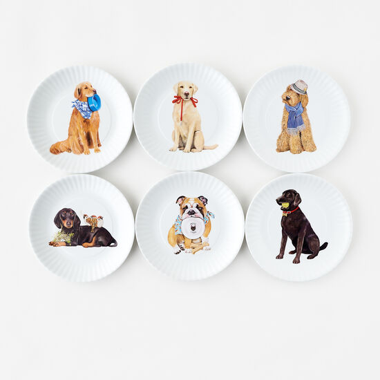 Dog "Paper" Plate, Set of 6 assorted, Melamine, 7.5"