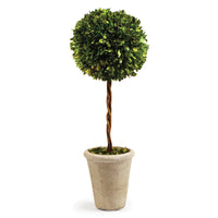 BOXWOOD SINGLE SPHERE TOPIARY 23.25" BY NAPA HOME & GARDEN