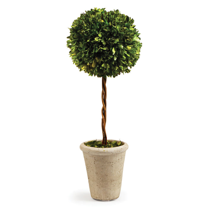 BOXWOOD SINGLE SPHERE TOPIARY 23.25" BY NAPA HOME & GARDEN