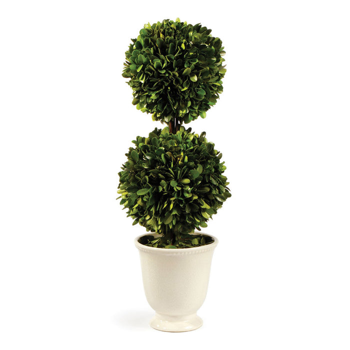 BOXWOOD DOUBLE BALL TOPIARY IN BEADED WHITE POT BY NAPA HOME & GARDEN