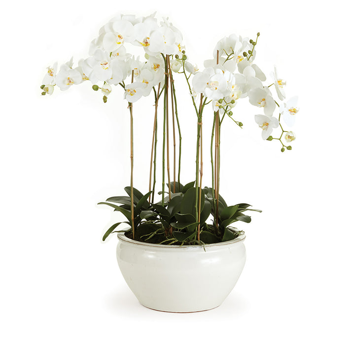 BARCLAY BUTERA PHALAENOPSIS IN CERAMIC BOWL 36" BY NAPA HOME & GARDEN