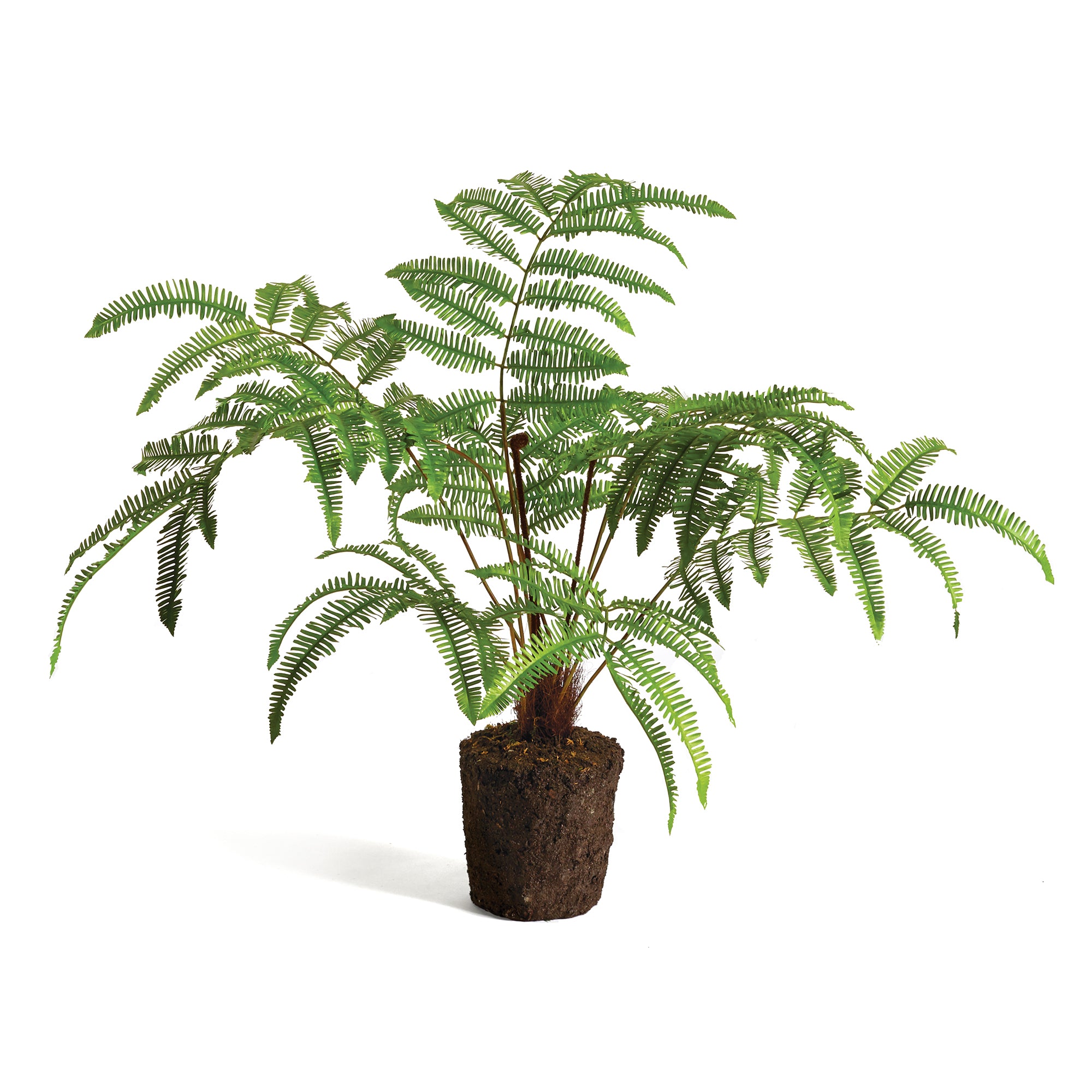 FOREST FERN DROP-IN 29.5" BY NAPA HOME & GARDEN