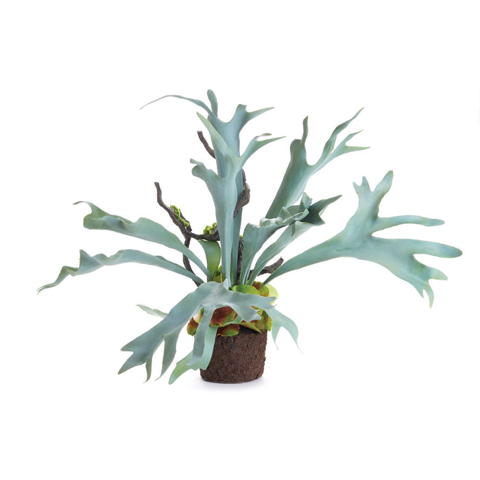 STAGHORN FERN DROP-IN 22" BY NAPA HOME & GARDEN