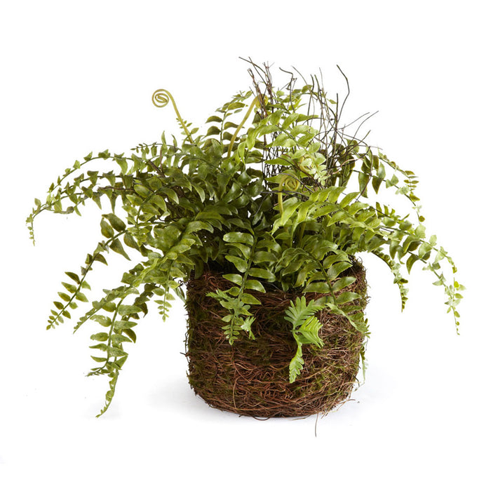 BOSTON FERN RUSTIC DROP-IN 12" BY NAPA HOME & GARDEN