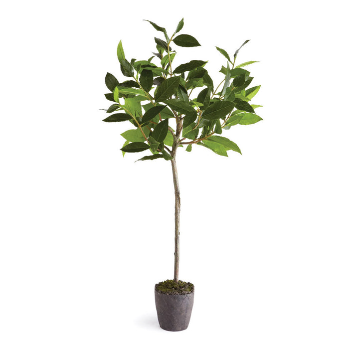 BAYLEAF TREE DROP-IN 28.5" BY NAPA HOME & GARDEN