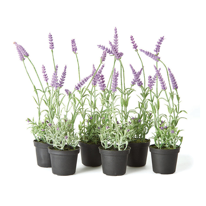 FRENCH LAVENDER DROP-IN 13", SET OF 6 BY NAPA HOME & GARDEN