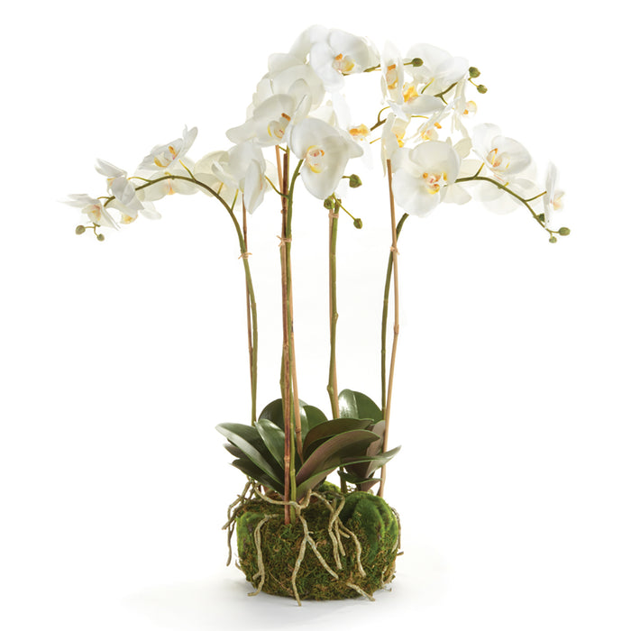 PHALAENOPSIS ORCHID BOWL DROP-IN 25" BY NAPA HOME & GARDEN