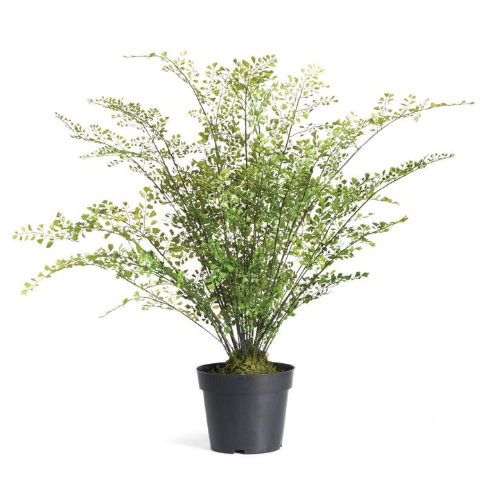 MAIDENHAIR DROP-IN 30 BY NAPA HOME & GARDEN