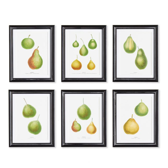 PEAR STUDY, SET OF 6 BY NAPA HOME & GARDEN