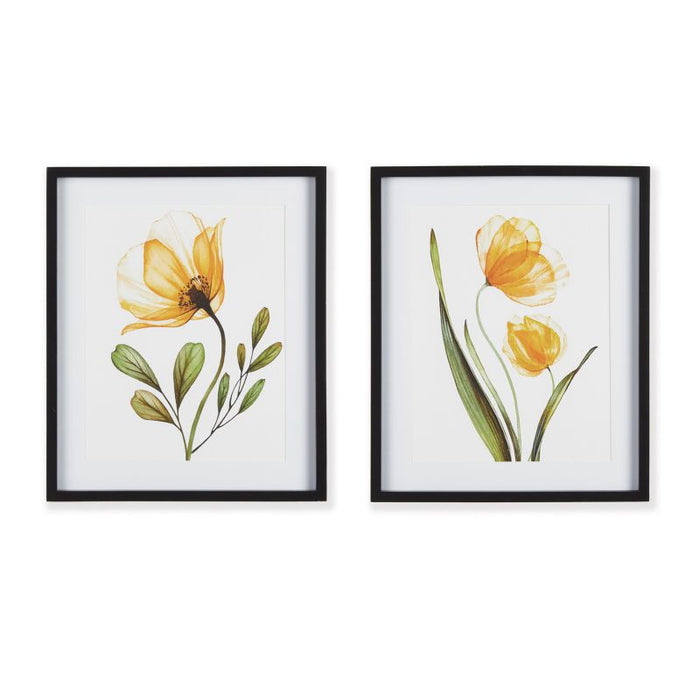 X-RAY BOTANICAL PRINTS, SET OF 2 BY NAPA HOME & GARDEN