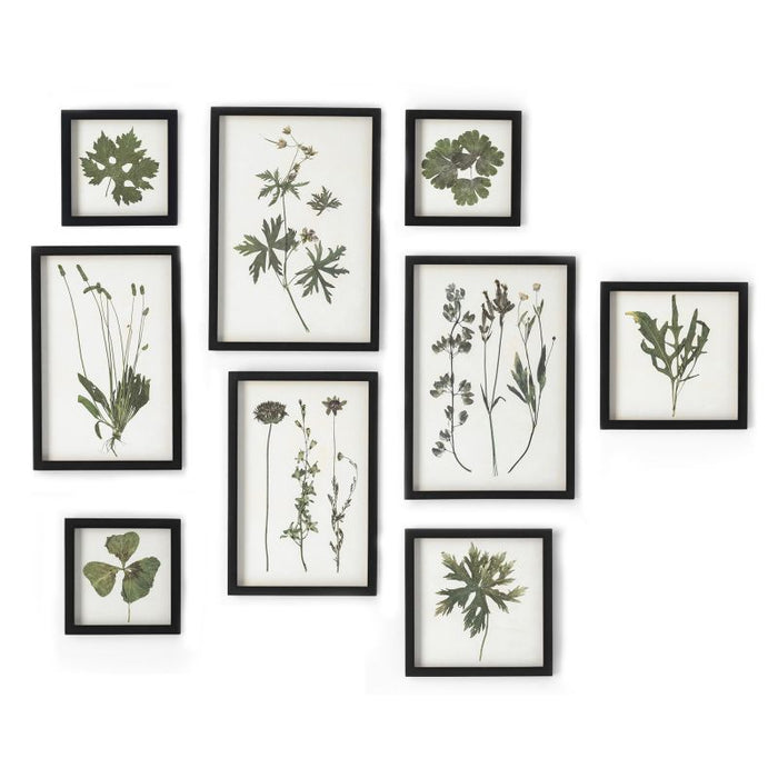 FOLIAGE PRINTS, SET OF 9 BY NAPA HOME & GARDEN