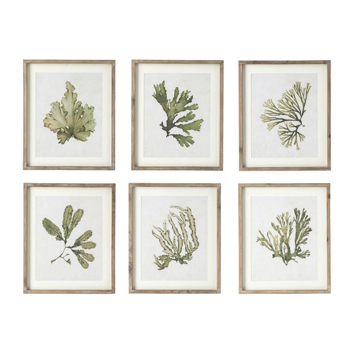 KELP PRINTS, SET OF 6 BY NAPA HOME & GARDEN