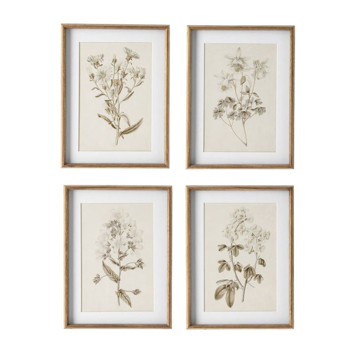 FLEUR DE BLANC PRINTS, SET OF 4 BY NAPA HOME & GARDEN