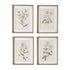 FLEUR DE BLANC PRINTS, SET OF 4 BY NAPA HOME & GARDEN - A. Dodson's