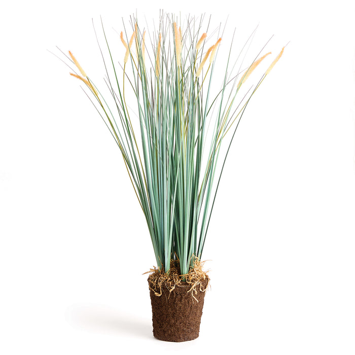 FIELD GRASS DROP-IN 35" BY NAPA HOME & GARDEN