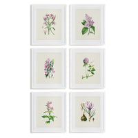 FLOWER STUDY PRINTS, SET OF 6 BY NAPA HOME & GARDEN