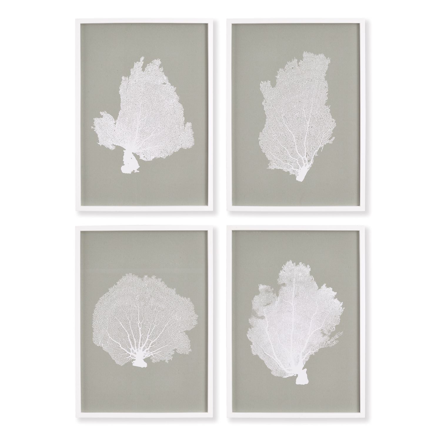 CORAL FANS STUDY, SET OF 4 BY NAPA HOME & GARDEN - A. Dodson's