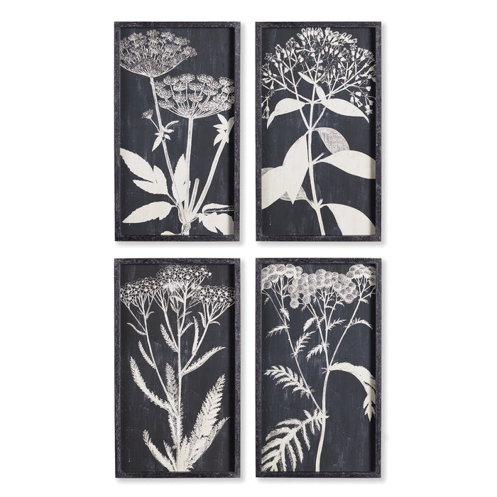 MONOCHROME QUEEN ANNE'S LACE PRINTS, SET OF 4 BY NAPA HOME & GARDEN
