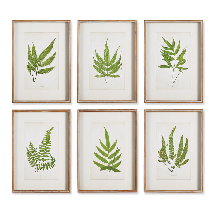 FOREST GREENERY PRINTS, SET OF 6 BY NAPA HOME & GARDEN