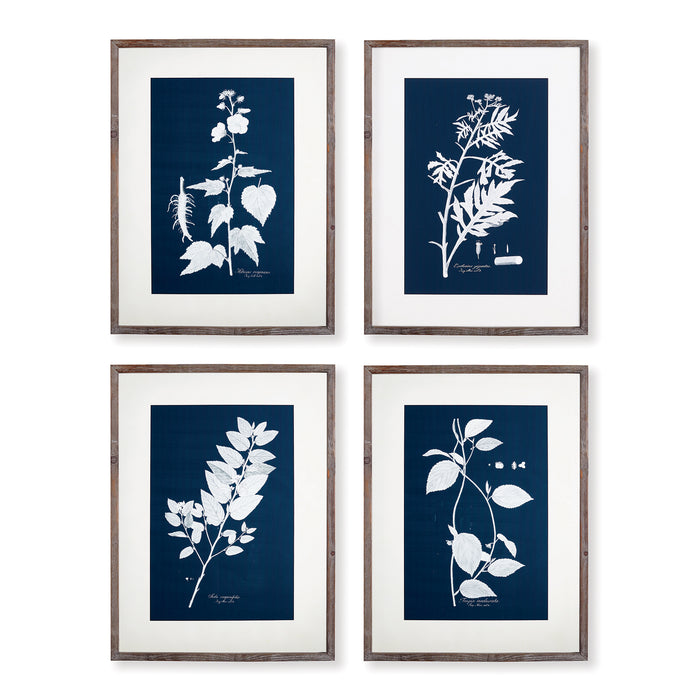 CYANO BOTANICAL LEAF STUDY, SET OF 4 BY NAPA HOME & GARDEN