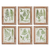 ASSORTED FROND STUDY PETITE, SET OF 6 BY NAPA HOME & GARDEN