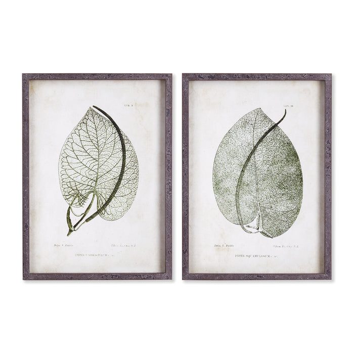 CORDATE LEAF STUDY, SET OF 2 BY NAPA HOME & GARDEN