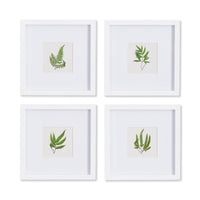 FOREST GREENERY PETITE PRINTS, SET OF 4 BY NAPA HOME & GARDEN