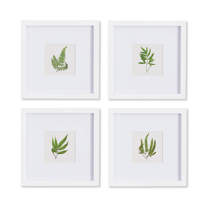 FOREST GREENERY PETITE PRINTS, SET OF 4 BY NAPA HOME & GARDEN
