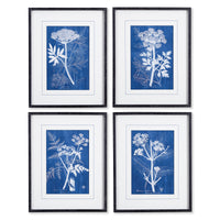 CYANOTYPE QUEEN ANNES LACE PRINTS, SET OF 4 BY NAPA HOME & GARDEN