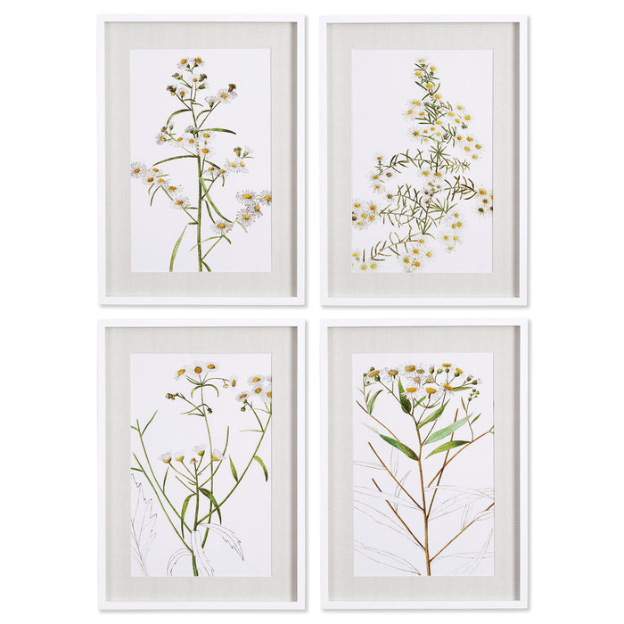 DAISY PRINTS, SET OF 4 BY NAPA HOME & GARDEN