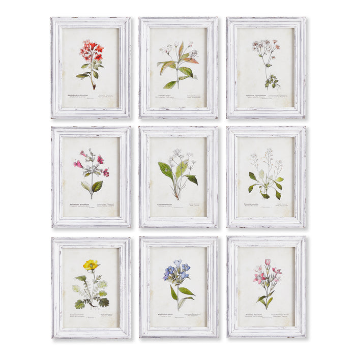 GARDEN MEADOW STUDY, SET OF 9 BY NAPA HOME & GARDEN