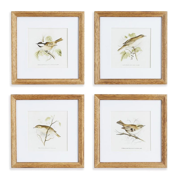 PERCHING BIRD STUDY PETITE, SET OF 4 BY NAPA HOME & GARDEN