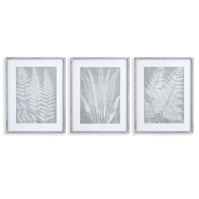 FERN FROND PRINTS, SET OF 3 BY NAPA HOME & GARDEN